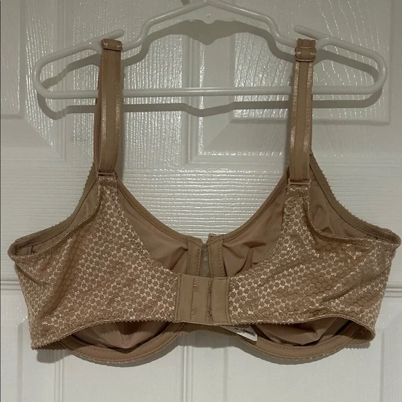 Chantelle Shimmering Tan Bra - Picture 4 of 6